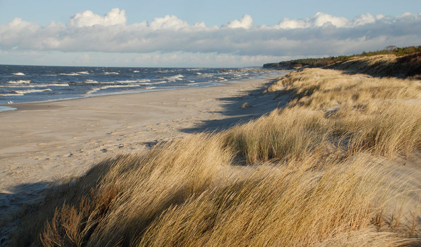 atrakcje-kolobrzeg-grzybowo-plaze-dzwizyn